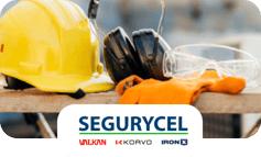 Logo de Segurycel