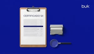 Certificado SII: guía completa para empresas y Gestión de administración y finanzas