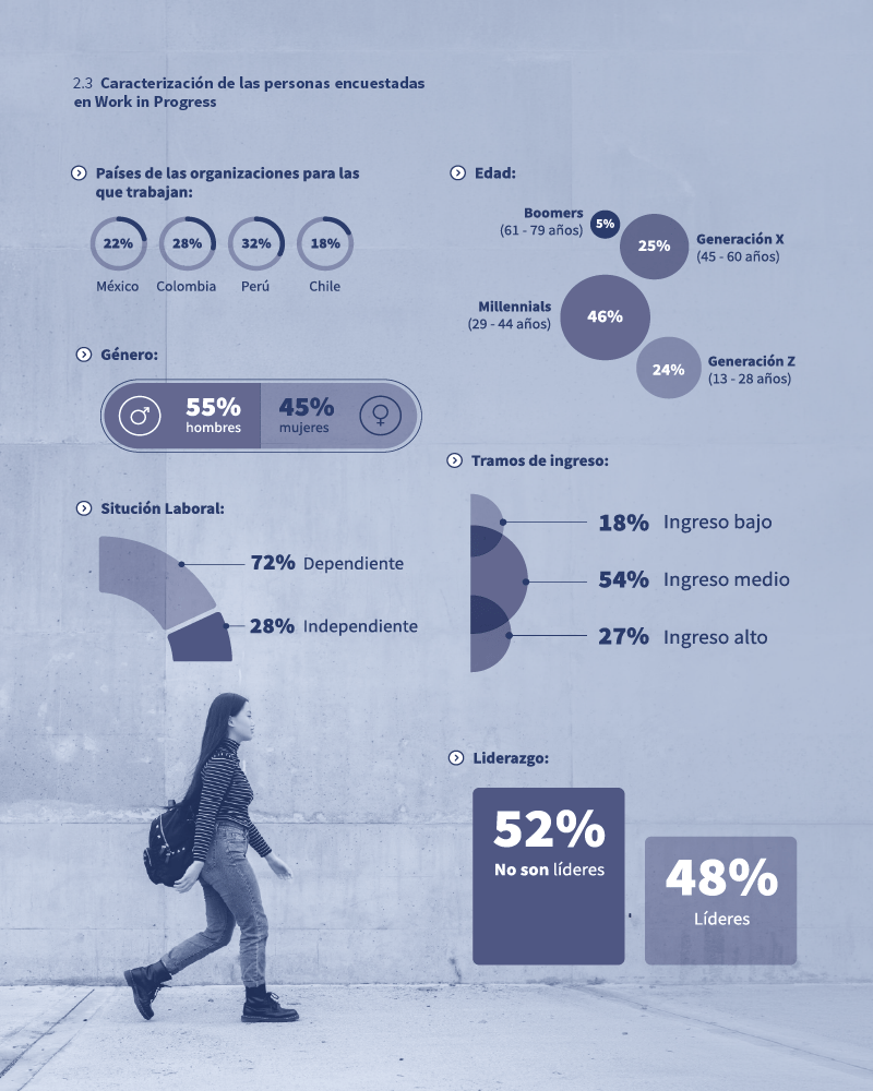 graficosweb_-01