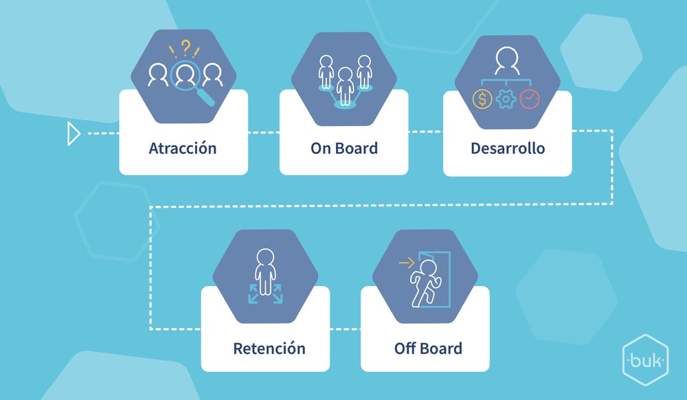 Ciclo de vida del colaborador: Las 5 etapas y su importancia