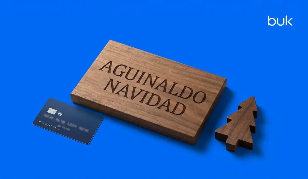 Aguinaldo de Navidad 2026 para el sector público: ¿cuánto es y quiénes lo reciben?