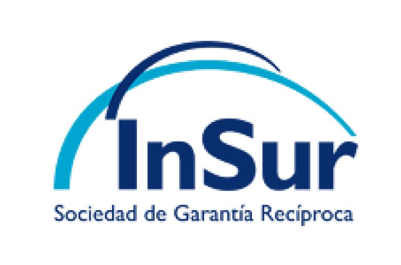 Logo de Insur, cliente del rubro financiero de Buk Perú.