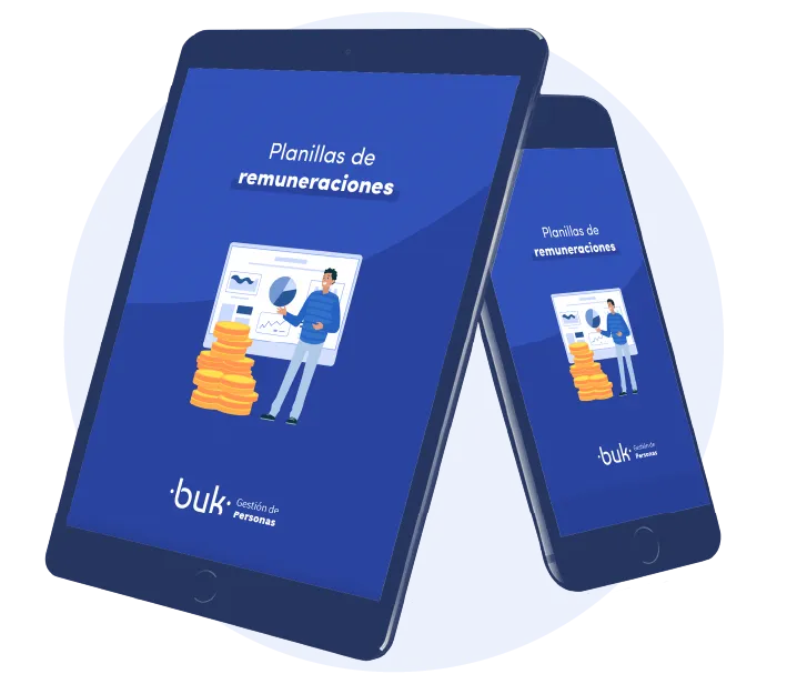 planilla remuneraciones pe