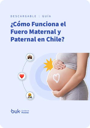 portada guías