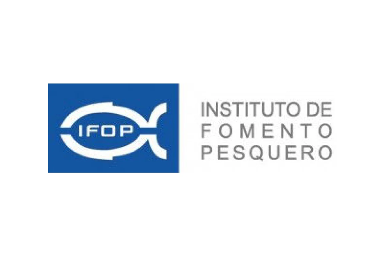 LOGO WEB SERVICIOS-04