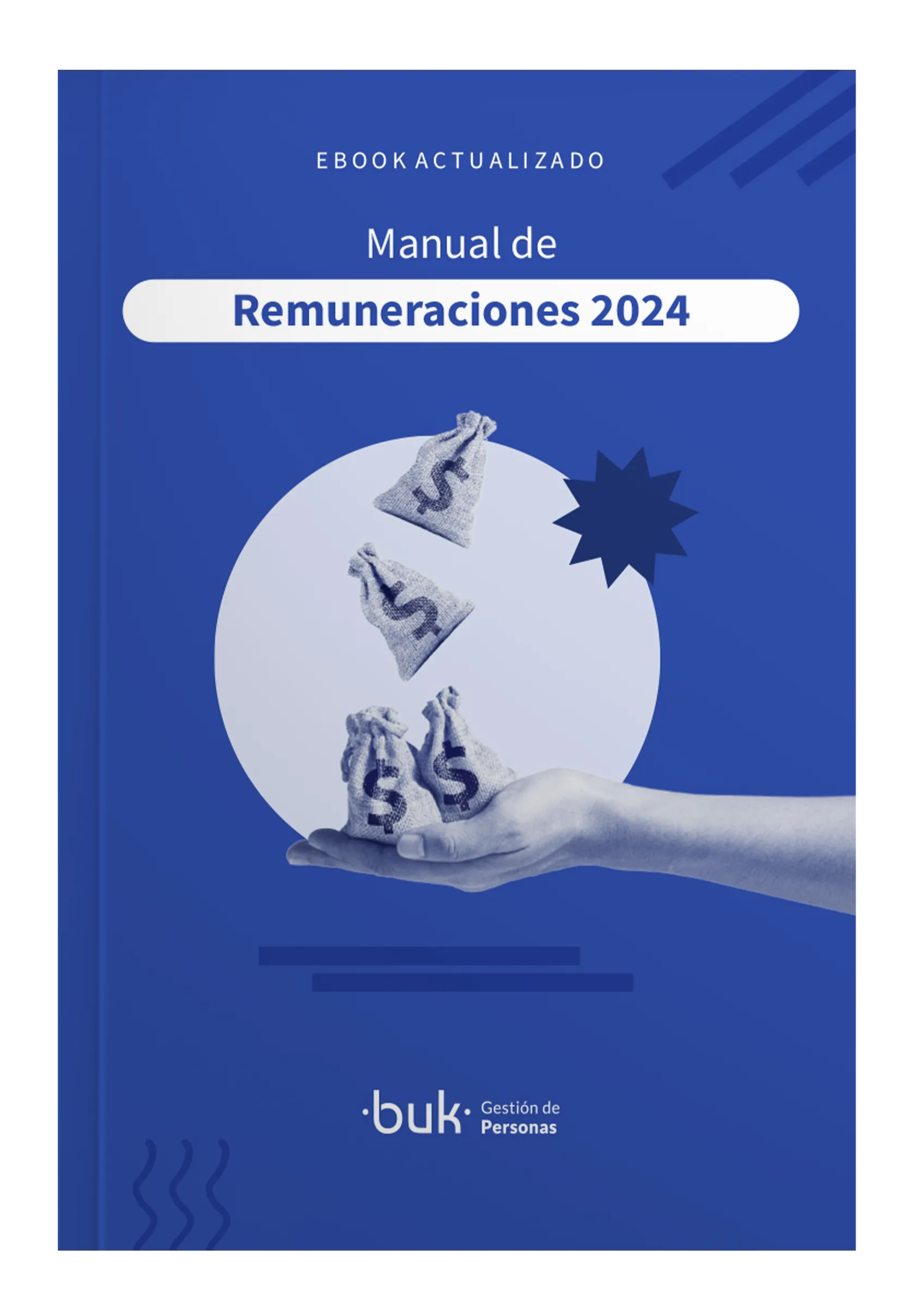 descarga el manual de remuneraciones 2024