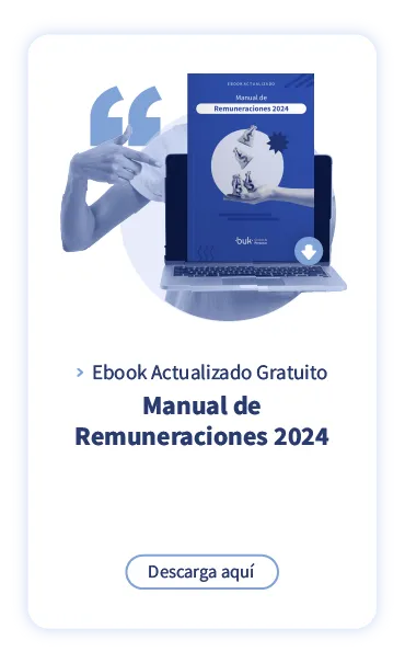 gratis manual de remuneraciones 2024