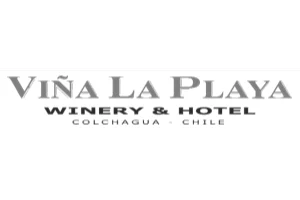vina la playa